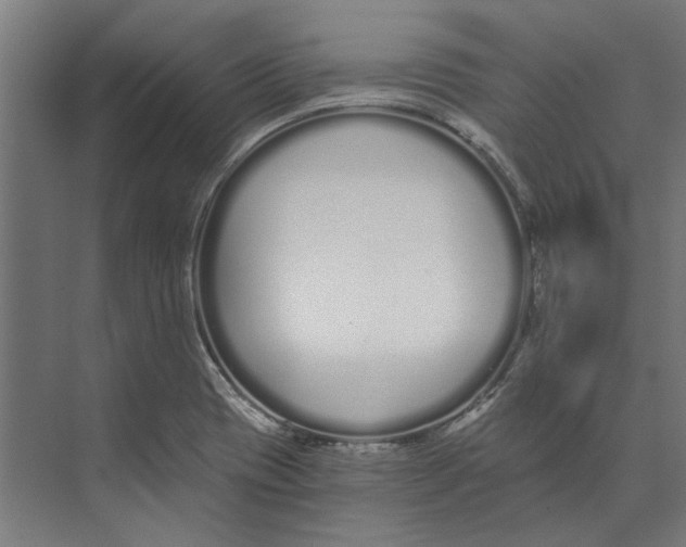 X0000073491417200608281603