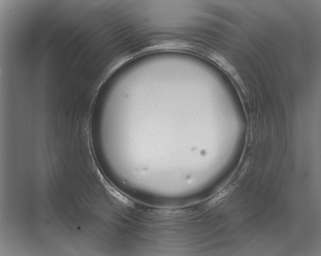 X0000073491425200608281604