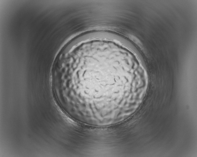 X0000073491428200608281604