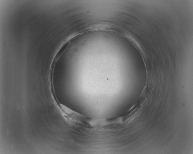 X0000073491434200608281604