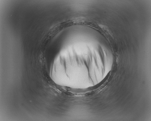 X0000073491445200608281603