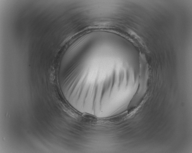 X0000073491449200608281603