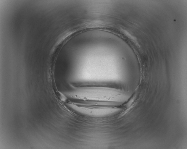 X0000073491453200608281603