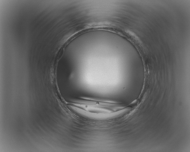 X0000073491457200608281603
