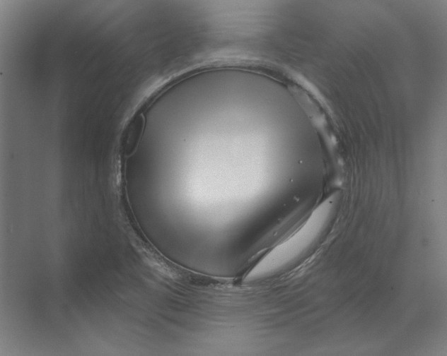 X0000073491461200608281603