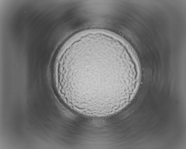 X0000073491466200608281603