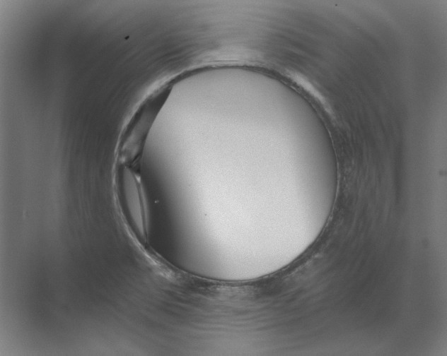 X0000073491469200608281603