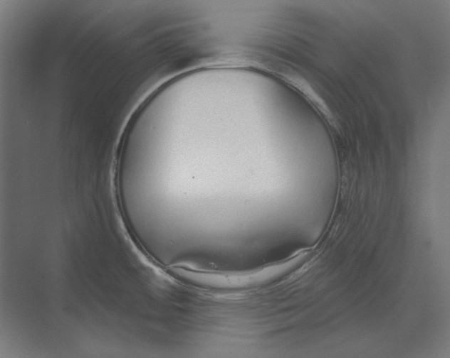X0000073491484200608281602