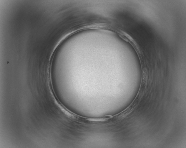 X0000073491487200608281602
