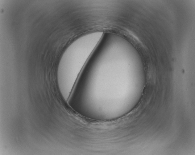 X0000073500025200607310904