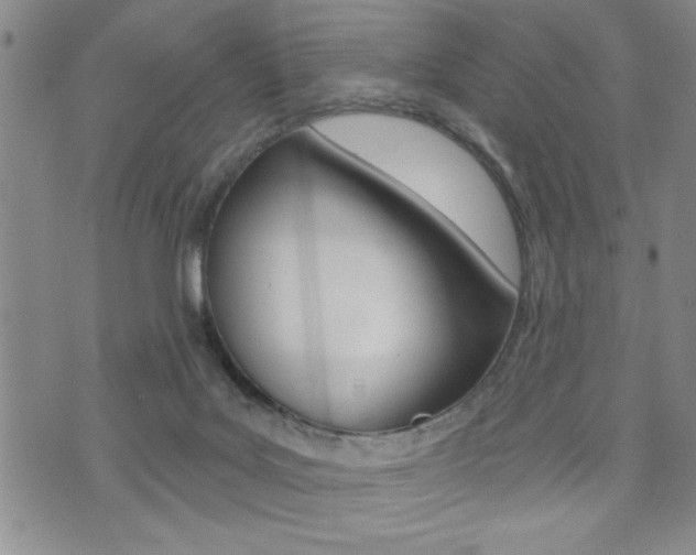 X0000073500027200607310904