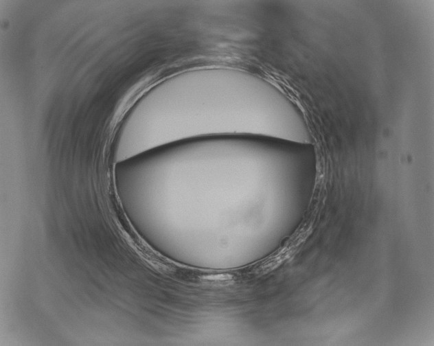 X0000073500053200607310903