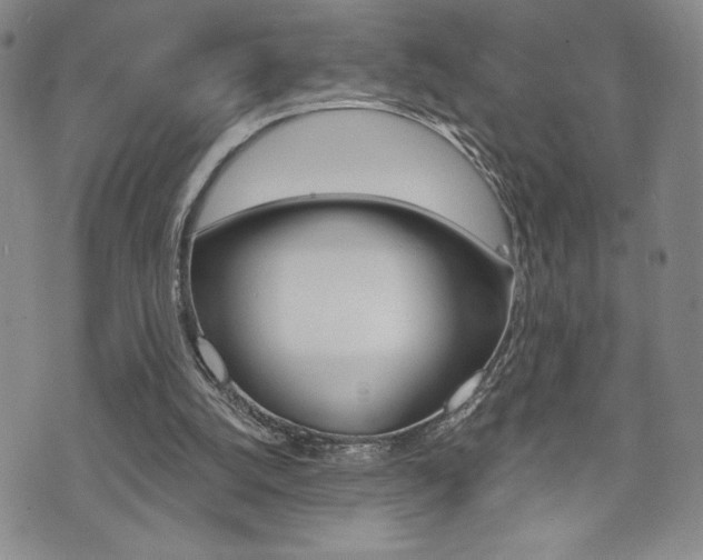 X0000073500056200607310903