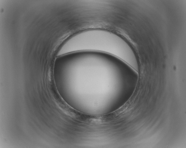 X0000073500068200607310903