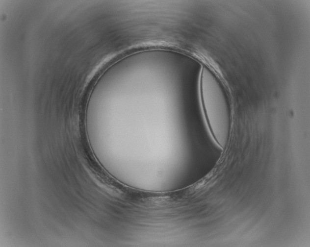 X0000073500108200607310902