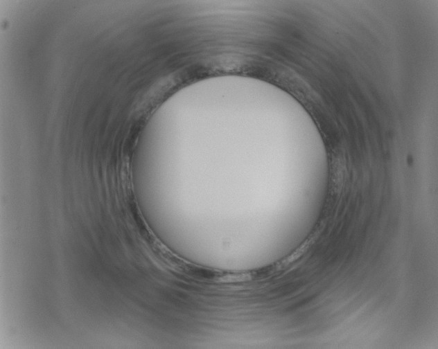 X0000073500126200607310902