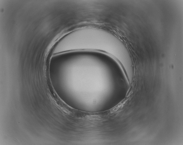 X0000073500150200607310901