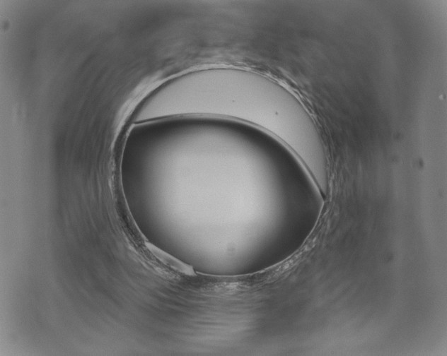 X0000073500152200607310901