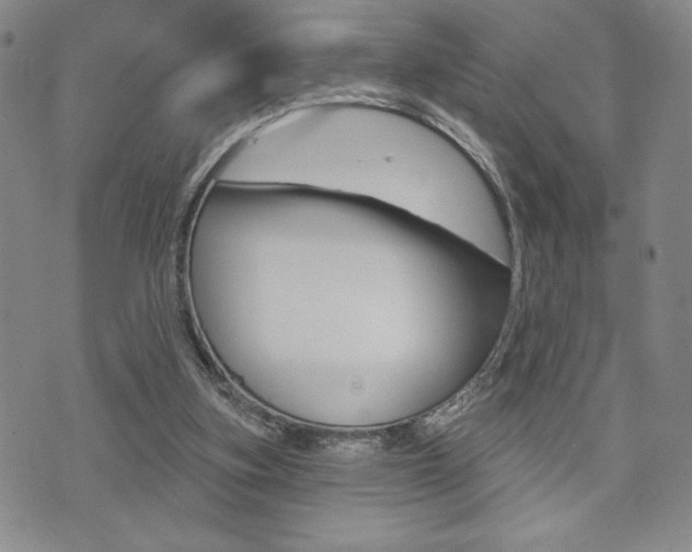 X0000073500155200607310901