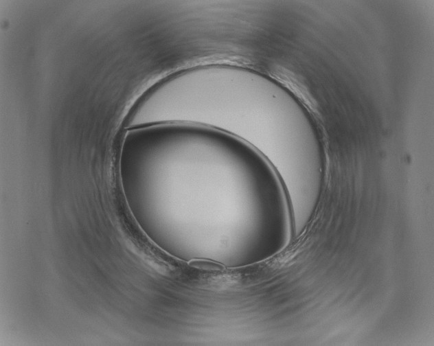 X0000073500156200607310901