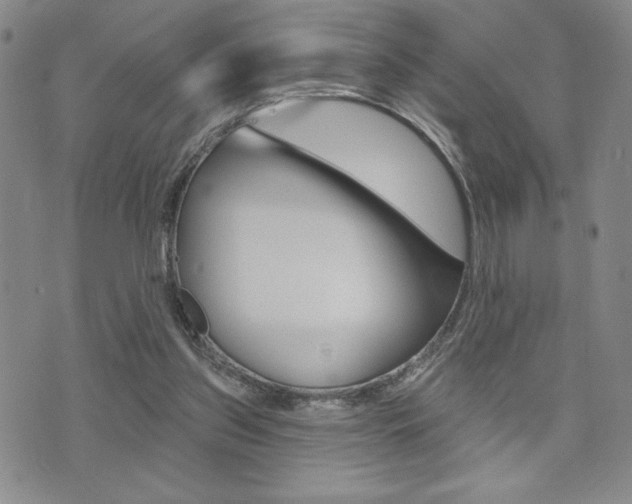 X0000073500157200607310901