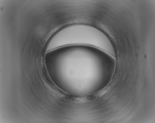 X0000073500164200607310901