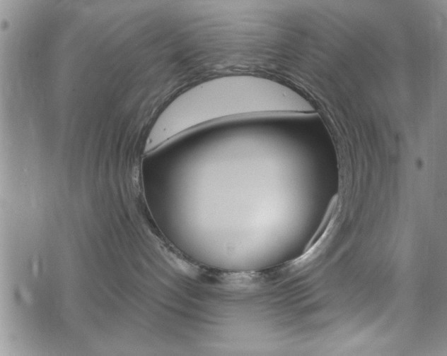 X0000073500192200607310902