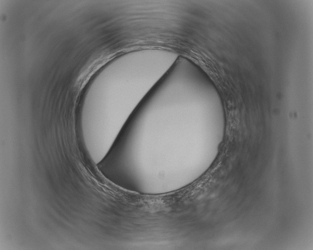 X0000073500194200607310901