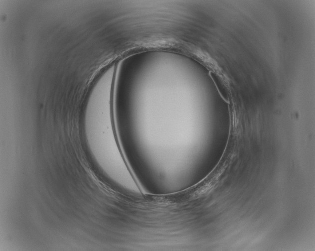 X0000073500201200607310901