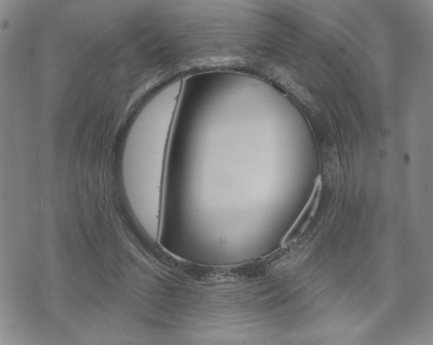 X0000073500207200607310901
