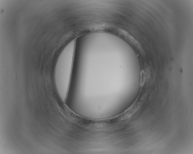 X0000073500209200607310901