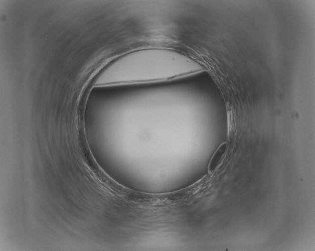 X0000073500243200607310859