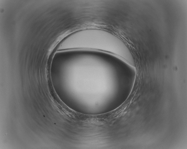 X0000073500244200607310900