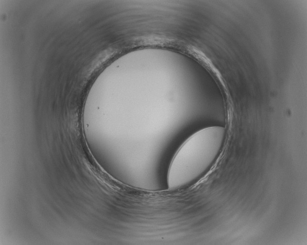 X0000073500249200607310900