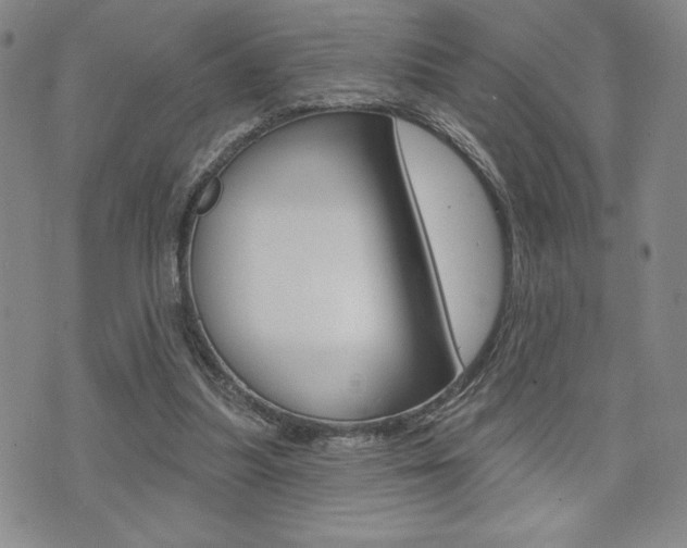 X0000073500251200607310900