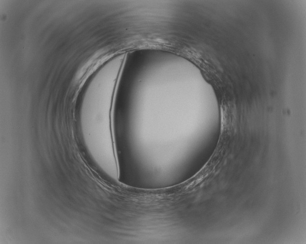 X0000073500291200607310859