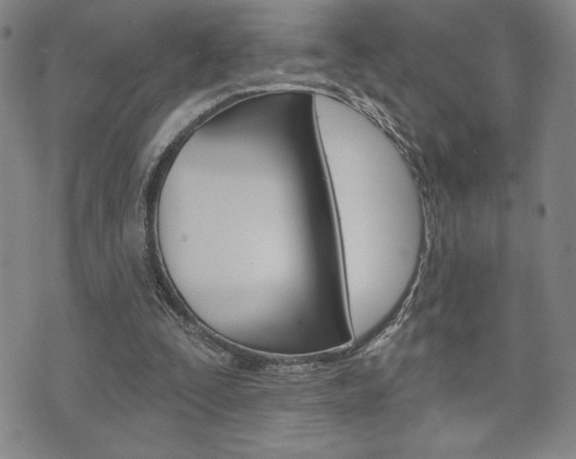 X0000073500295200607310859