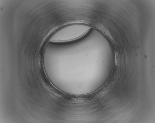 X0000073500300200607310859