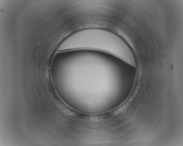 X0000073500305200607310859