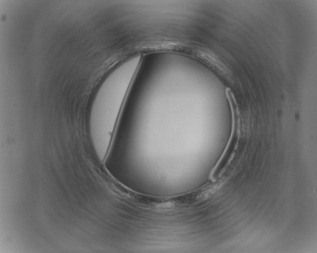 X0000073500309200607310859