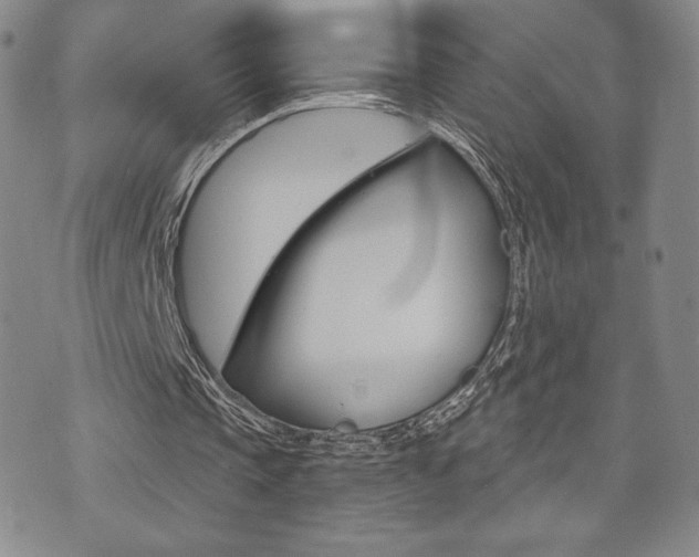 X0000073500337200607310858