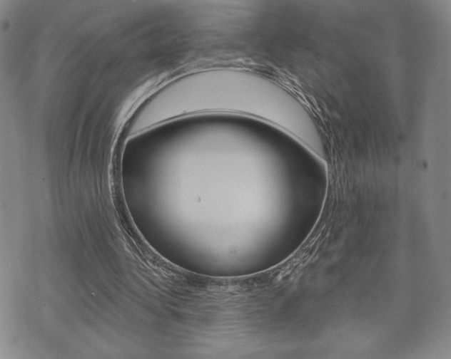 X0000073500340200607310858