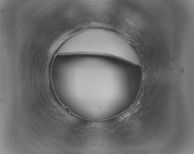 X0000073500341200607310858