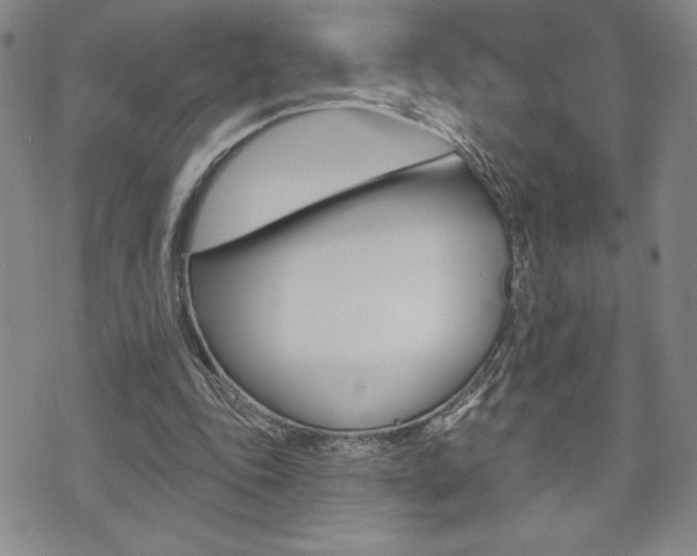 X0000073500343200607310858