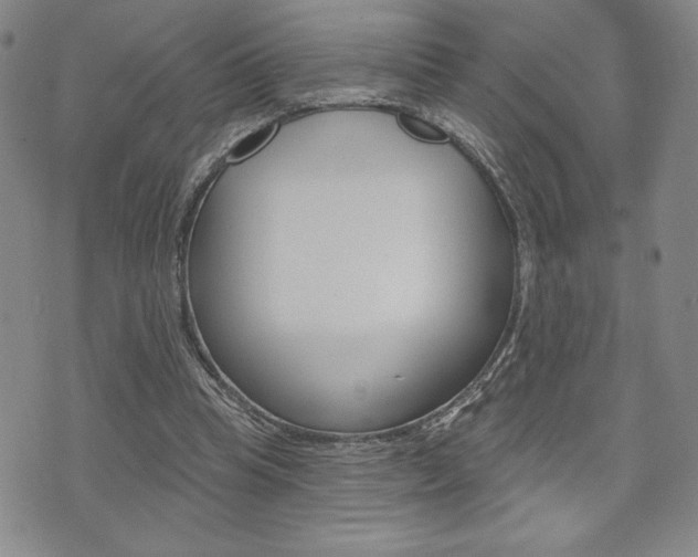 X0000073500345200607310858