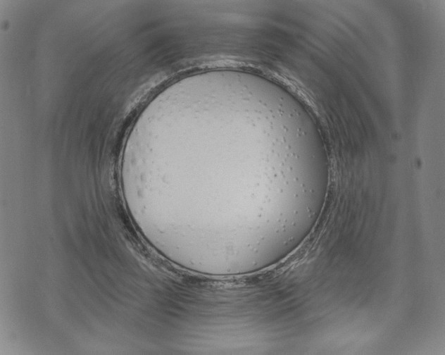 X0000073500347200607310858