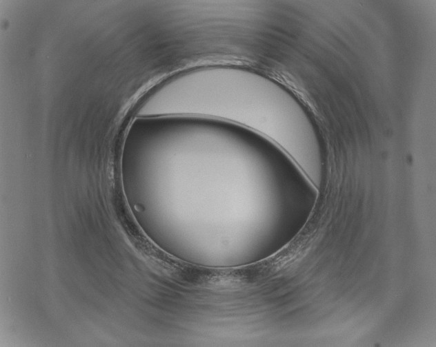 X0000073500348200607310858