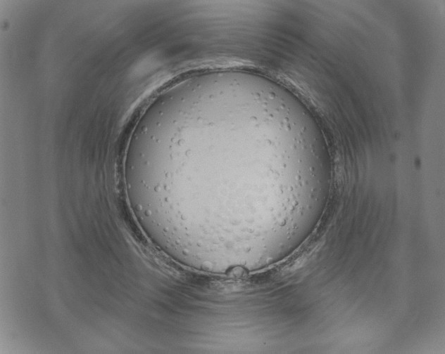 X0000073500351200607310858