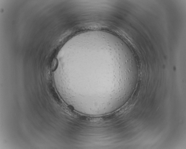 X0000073500355200607310858