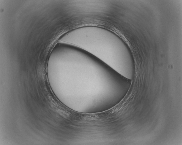 X0000073500386200607310858